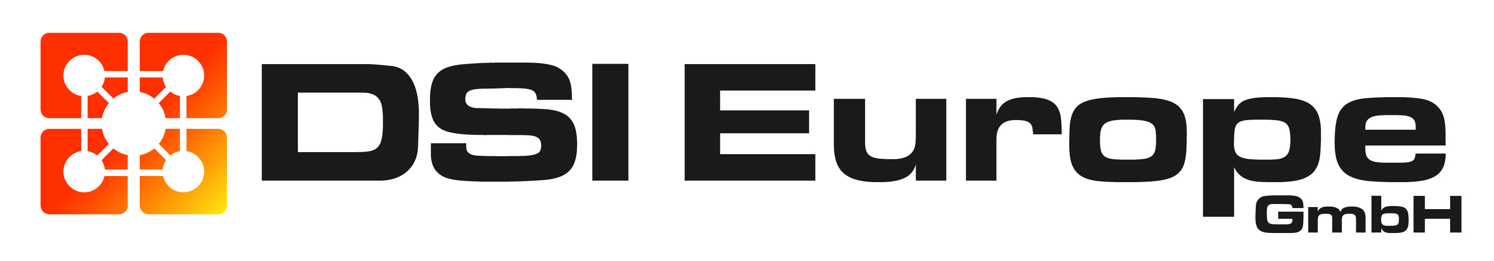 DSI Europe Logo